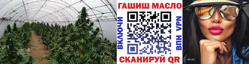 купить наркотики сайты Красково площадка формула Дистиллят ТГК Wax