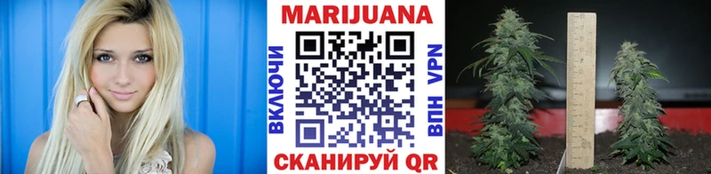 Каннабис OG Kush Красково